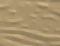 Desert Tan